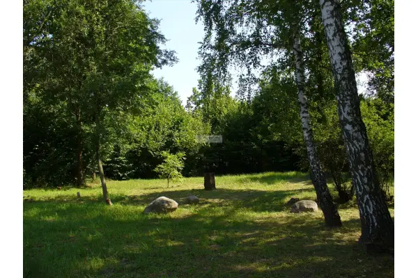 mazowieckie, pułtuski, Świercze, Działka na sprzedaż