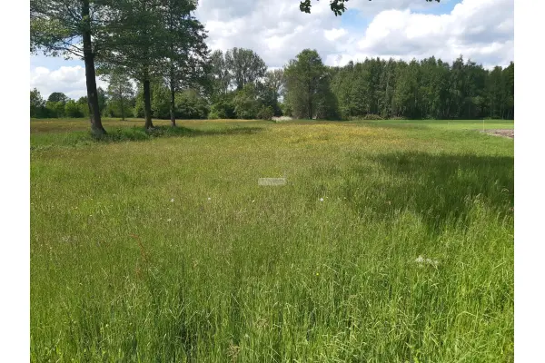 mazowieckie, wołomiński, Poświętne, Wola Cygowska, Działka z WZ, malownicze tereny pod Warszawą