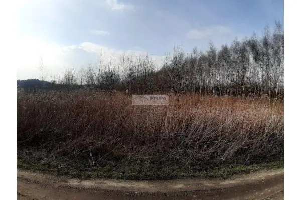 Czarna, Wołomin, Działka na sprzedaż