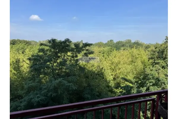 Warszawa, mazowieckie, Mieszkanie na wynajem
