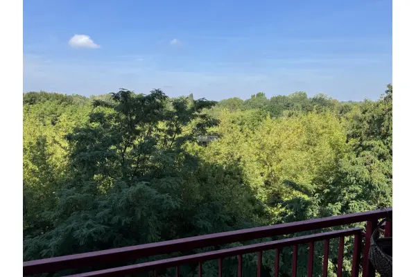 Warszawa, mazowieckie, Mieszkanie na wynajem